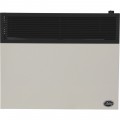 Ashley Hearth Direct Vent LP Wall Heater with Venting 25,000 BTU, Model# DVAG30L