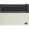 Ashley Hearth Direct Vent LP Wall Heater with Venting 17,000 BTU, Model# DVAG17L